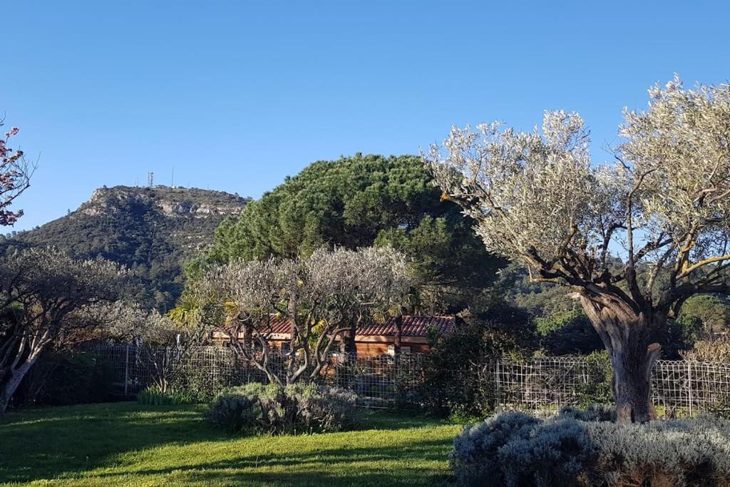 Sous Le Grand Pin Gites Eden En Cevennes Андюз Экстерьер фото